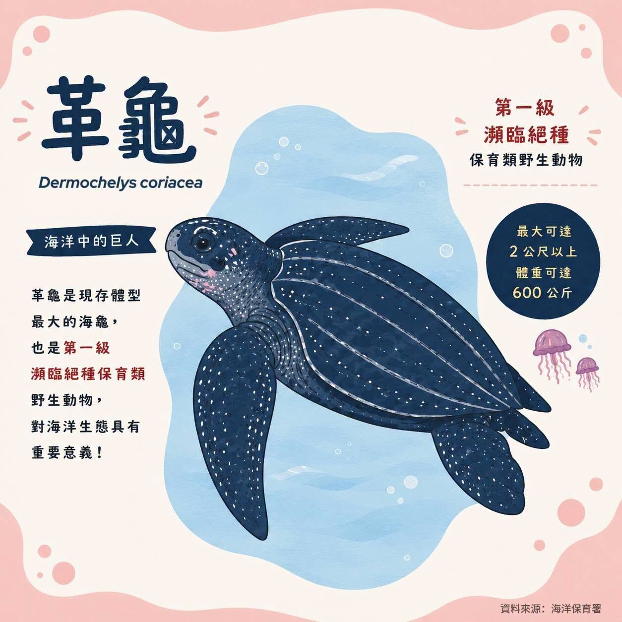 ▲高雄漁船誤捕155公分瀕危革龜，海巡動用魚市場吊臂接力救援送往海生館照護。（圖／翻攝自Facebook／海巡署南部分署-南部海巡瘋開講）