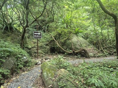 封閉近2年　台版奧入瀨溪流「青山瀑布步道」重新開放