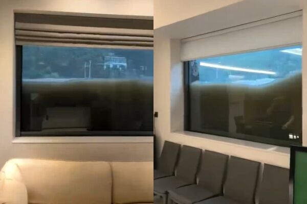 「白海豚」狂襲溫州！　他家變「水族館」…網歪樓狂問師傅電話
