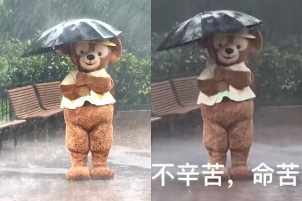 ▲▼上海迪士尼人偶颱風天照常互動。（圖／翻攝自小紅書）