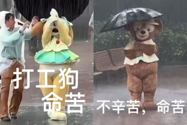 ▲▼網友還做成表情包。（圖／翻攝自小紅書）
