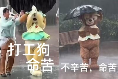 上海迪士尼「達菲」颱風抱傘上班超哀怨！　網笑：不辛苦，命苦