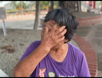 郵差大雨中送信被路樹壓死！83歲賣菜母椎心淚轟：公路局沒天良