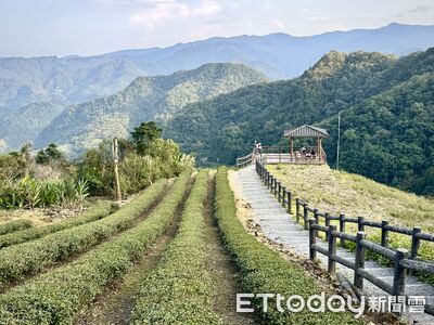 坪林南山寺「5分鐘到觀景台」 360度俯瞰山景、老街吃茶香霜淇淋