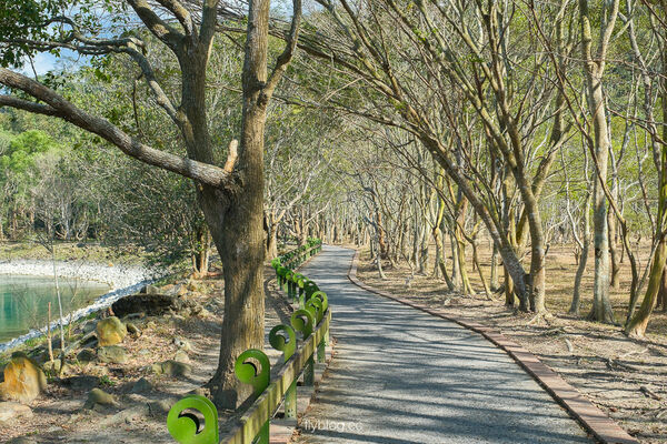 ▲▼月牙灣為日月潭秘境景點，沿岸設有自行車道可欣賞湖光美景。（圖／《飛天璇的口袋》授權提供）