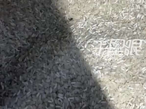 ▲▼陸屁孩將超市散裝豆「混一起」。（圖／翻攝自微博）