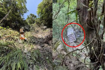 花蓮和平林道「砂石車墜80m邊坡」！駕駛噴飛遭埋亡　現場畫面曝光