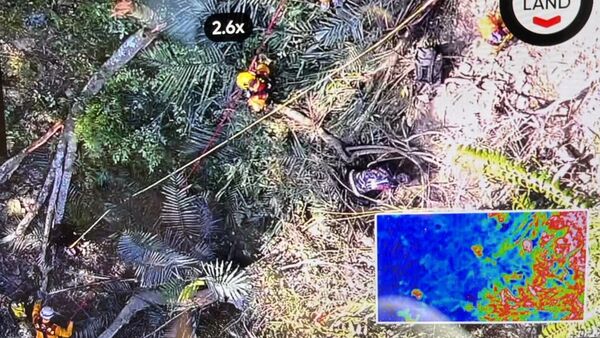 ▲花蓮和平林道砂石車翻覆80米邊坡,駕駛噴飛亡。(圖/翻攝自花蓮縣消防局特種搜救隊)