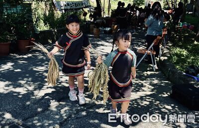 睽違70年小米重現...布農阿公激動 玉管處推村校共學保種有成