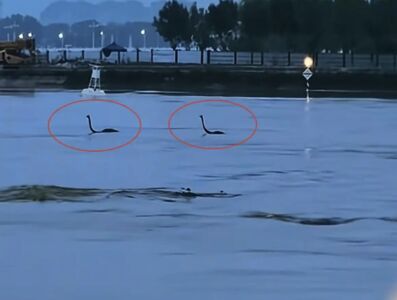 河南暴雨「8隻鴕鳥被沖走」　河上集體漂流