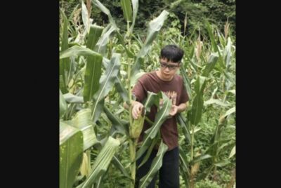 華為「天才少年」辭職回家賣玉米　坦言：對未來「心裡沒底」