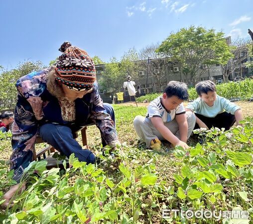 ▲部落長者在田間教導孩子們除疏的技巧，。（圖／玉山國家公園管理處提供）