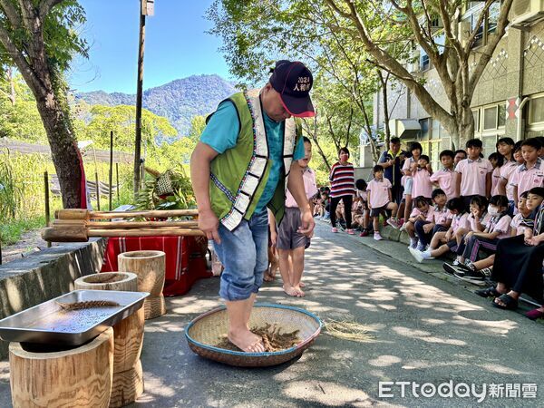 ▲小米重回土地與餐桌，布農保種行動啟動村校共學。（圖／玉山國家公園管理處提供）