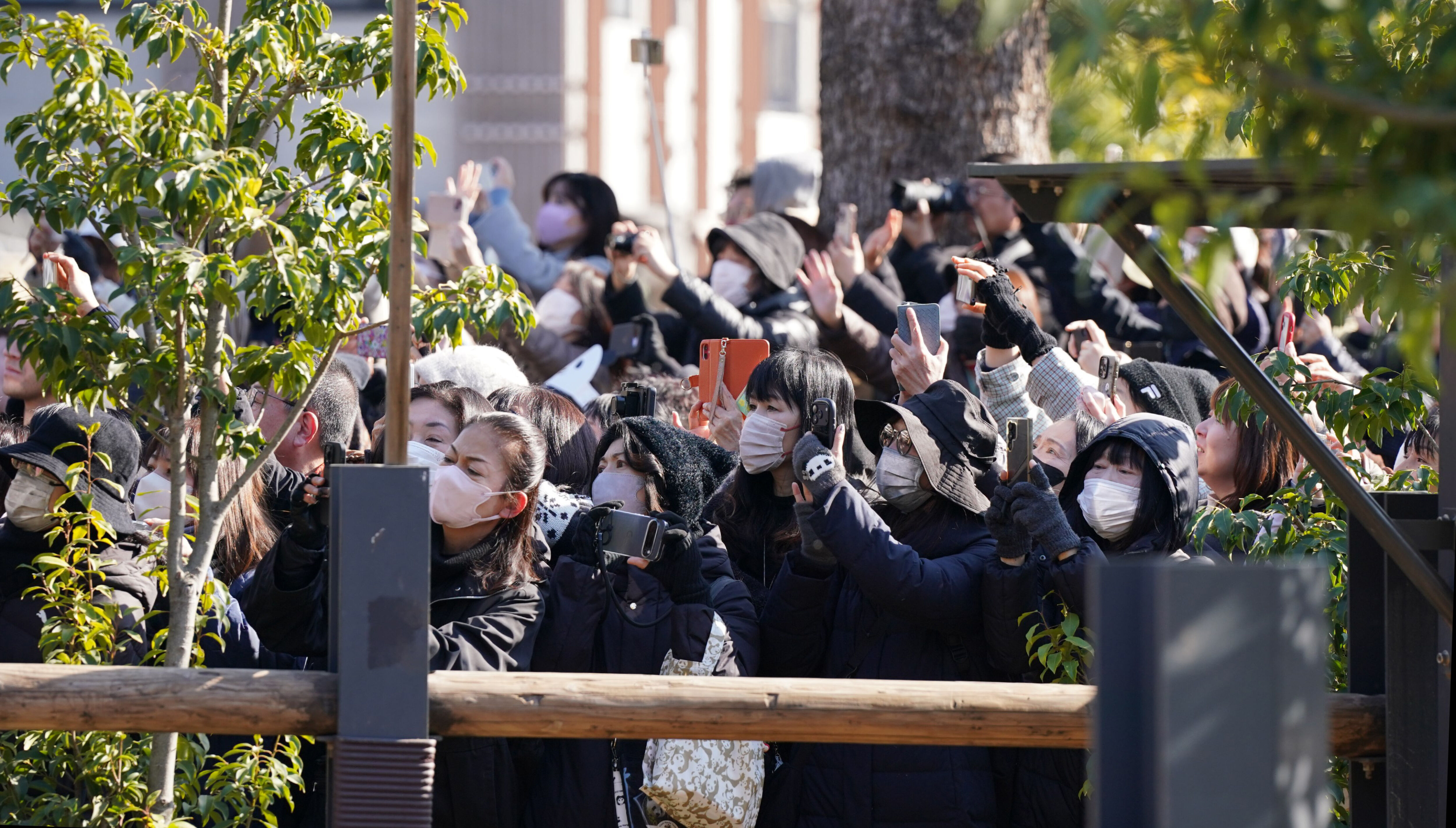 ▲▼東京上野動物園1月27日歸還雙胞胎貓熊後,園區內湧入大量日本粉絲揮淚表達不捨。(圖/達志影像/美聯社)