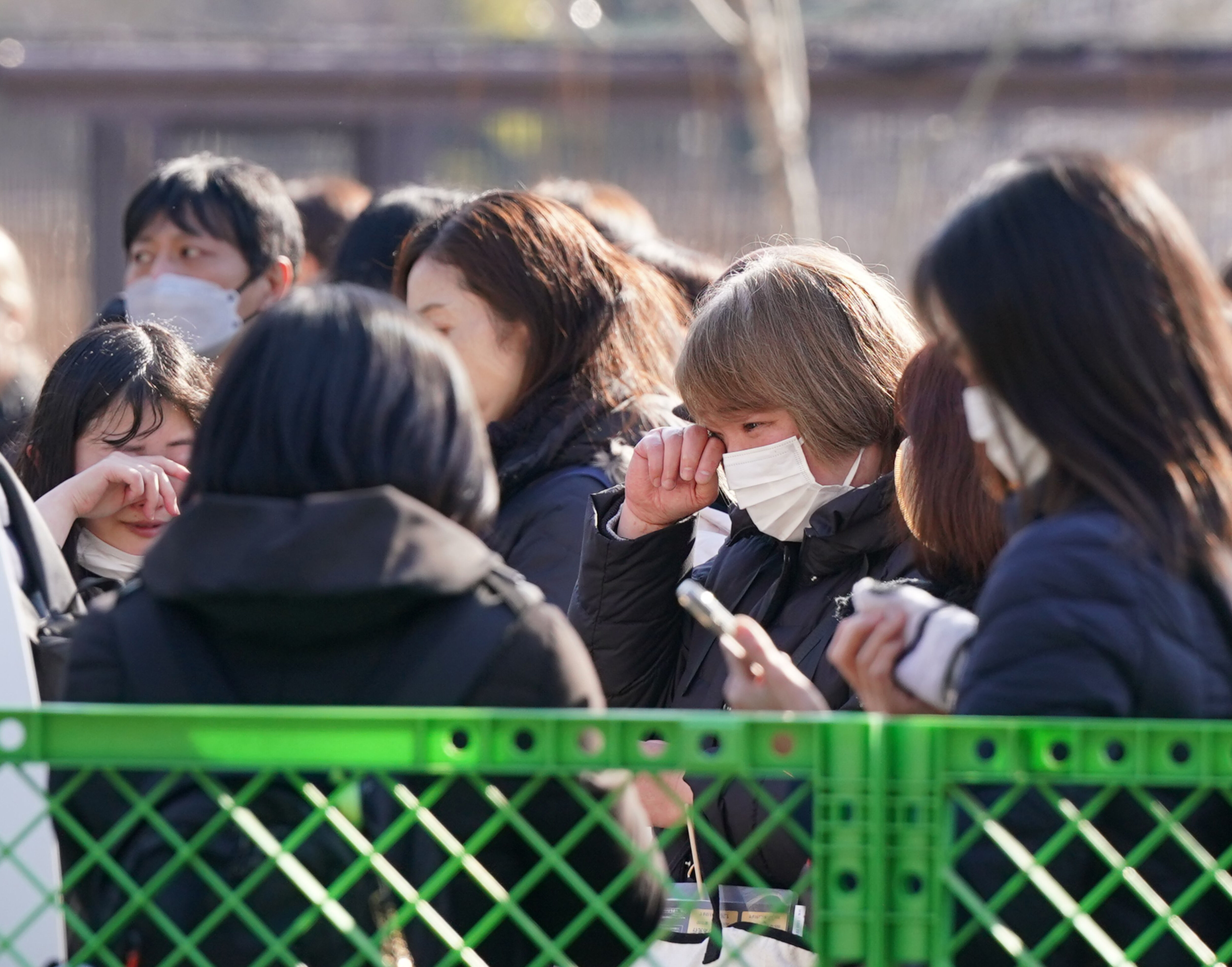 ▲▼東京上野動物園1月27日歸還雙胞胎貓熊後,園區內湧入大量日本粉絲揮淚表達不捨。(圖/達志影像/美聯社)