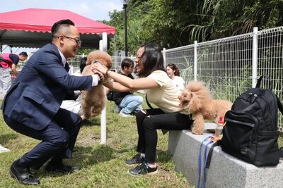 童子瑋流浪動物日推政見 基隆7大行政區都要設寵物公園