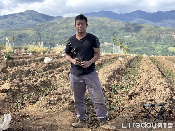 ▲露予莊園在「台灣紅茶—小葉種紅茶」獲得特選，「清香型球形烏龍茶」組獲得精選。（圖／花蓮縣政府提供，下同）