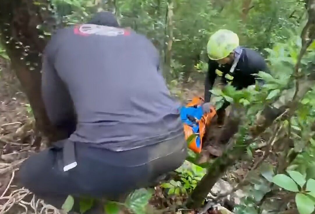 ▲▼屏東特搜穿上厚重捕蜂衣，闖進沒有路的山區，冒險找回2名罹難者。（圖／翻攝自Facebook／屏東縣政府消防局特種搜救大隊）