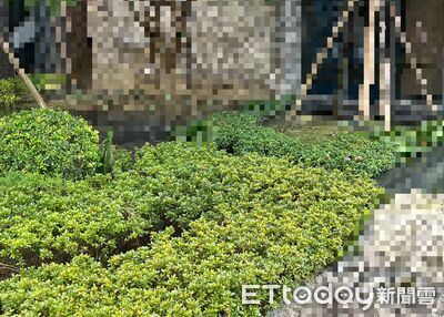 嫩媽還原11樓摔死兒「後悔了」 氣渣男用她超貸20萬養女人