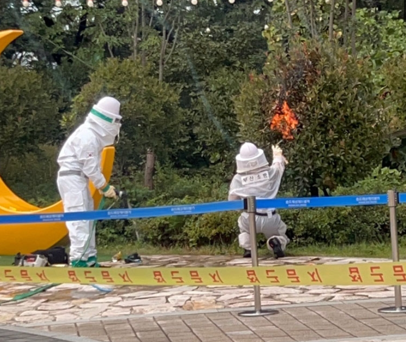 ▲▼釜山松島海上纜車附近「15人遭黃蜂攻擊」！　其中5人是台灣人。（圖／翻攝自釜山消防災難本部）