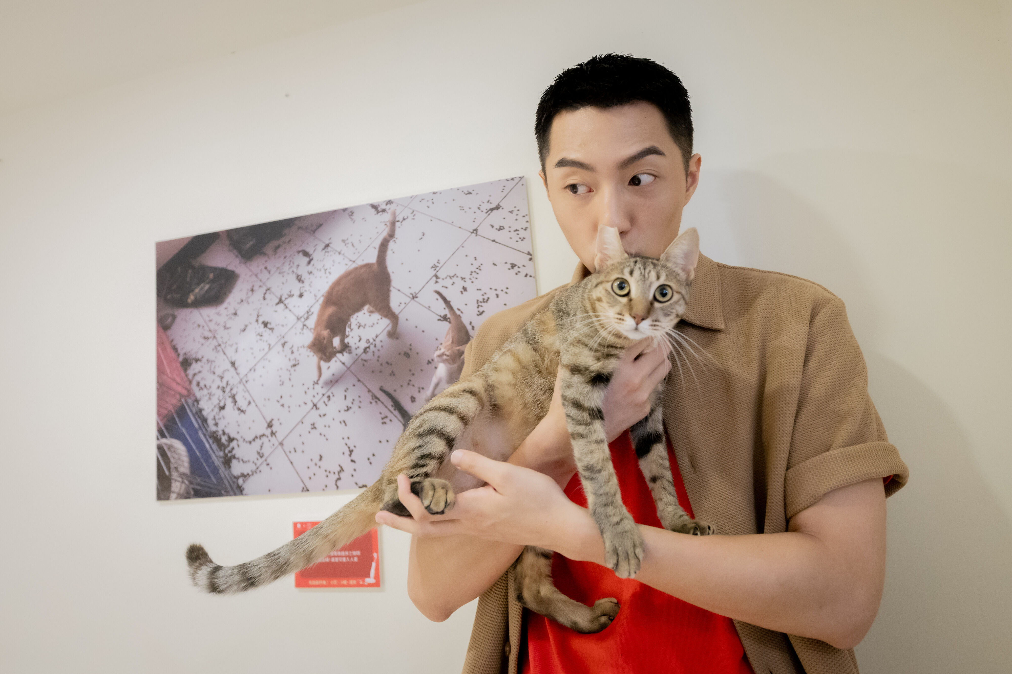 ▲▼Roborock石頭科技,愛心動物中途咖啡廳,浪浪別哭,你怎麼這麼可愛展。（圖／石頭科技提供）