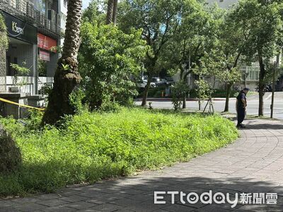 快訊／北市文山區「男子墜落樹叢」當場死亡！　身份調查中