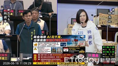 黃金海岸千萬AI「夜間看不到」 林燕祝:安全監測發揮什麼作用?