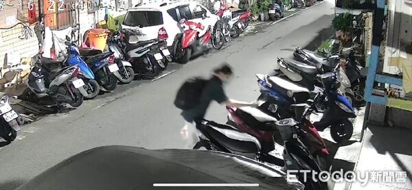 新北虐貓男抓到了！躲機車縫竟遭榔頭猛打...無辜橘貓傷勢曝