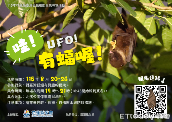 ▲台灣狐蝠夜間生態導覽活動，將於8 月20~26日舉辦，每場次上限20人。（圖／花蓮縣政府提供，下同）
