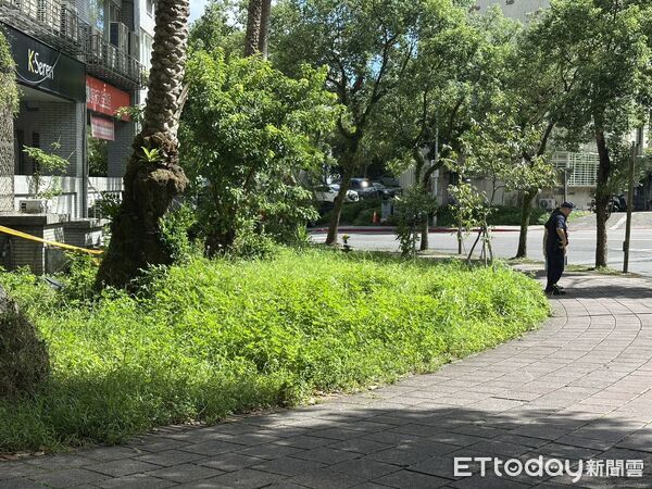 快訊／北市文山區「男子墜落樹叢」當場死亡！ 身份調查中