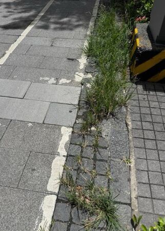 ▲▼民進黨台北市議員顏若芳針對北市人行道養護問題提出質疑。（圖／顏若芳提供）