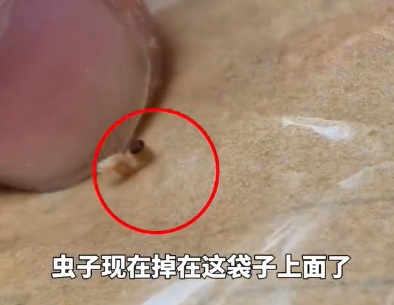 ▲▼女子買肉乾「吃到活蟲」上吐下瀉。（圖／翻攝自微博）