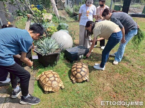 ▲台南市教育局持續推動普通班融合教育輔導計畫，透過專家入園協助教師回應幼兒多元需求。（記者林東良翻攝，下同）