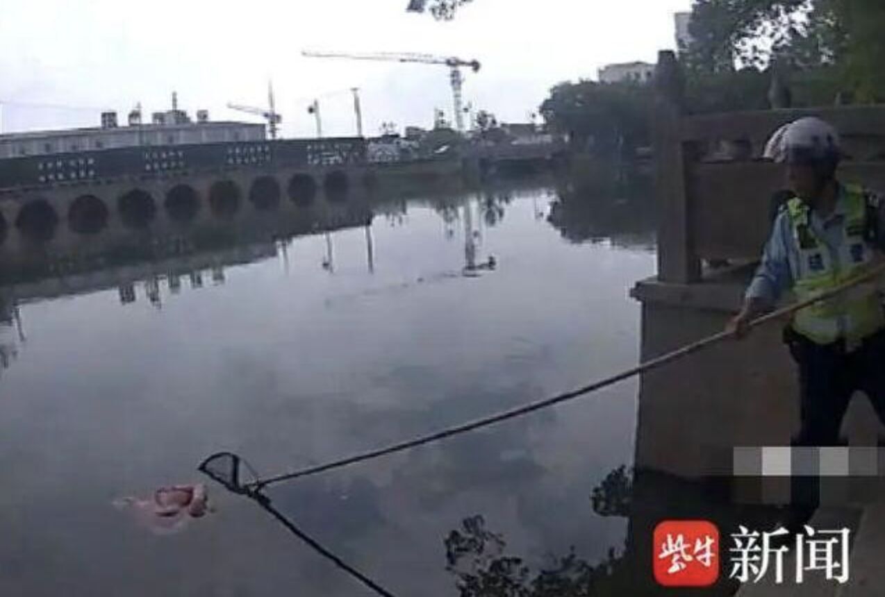 ▲王姓女子失足落水，靠仰漂姿勢待援撿回一命。（圖／翻攝紫牛新聞）