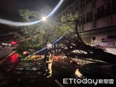 轟然一響路樹突倒榻 台中2警遭壓脫困全身擦挫傷