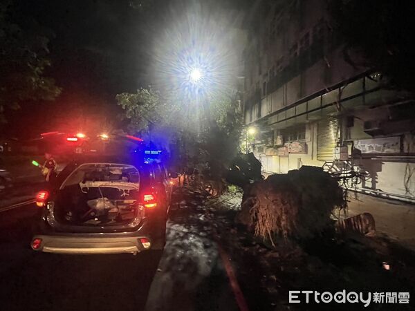 ▲▼台中2名保警清除路樹慘遭樹枝壓頂受傷。(圖/民眾提供,下同)