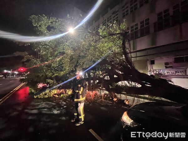 ▲▼台中2名保警清除路樹慘遭樹枝壓頂受傷。(圖/民眾提供,下同)
