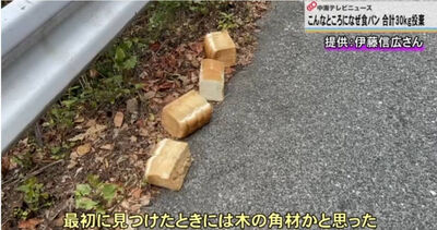 神祕怪客？日本國家公園遭丟棄大量白吐司　3天清出28.5公斤