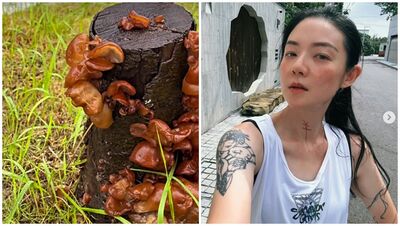 南部暴雨狂下「驚見路邊樹幹長木耳」！台女星PO對比照：我家樓下