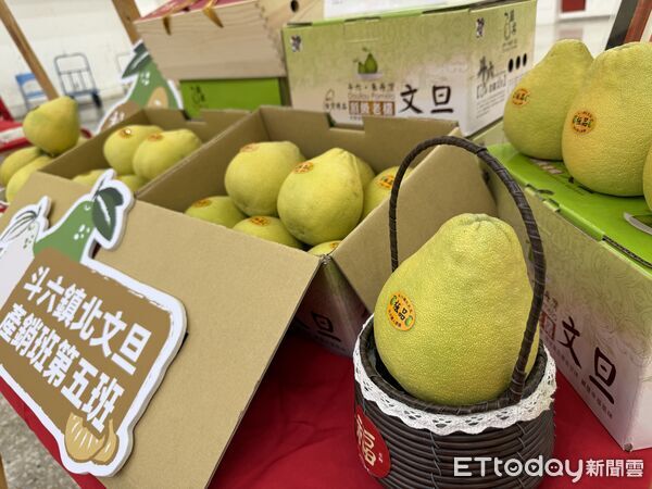 低溫害結果率低！斗六文旦減產2至3成 甜度反而更漂亮