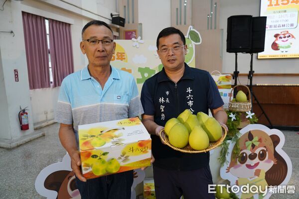 ▲今年斗六文旦受3月低溫影響，結果率不佳，產量平均減少2至3成，但成熟期雨量較少，果實甜度及品質表現亮眼。（圖／記者游瓊華翻攝）