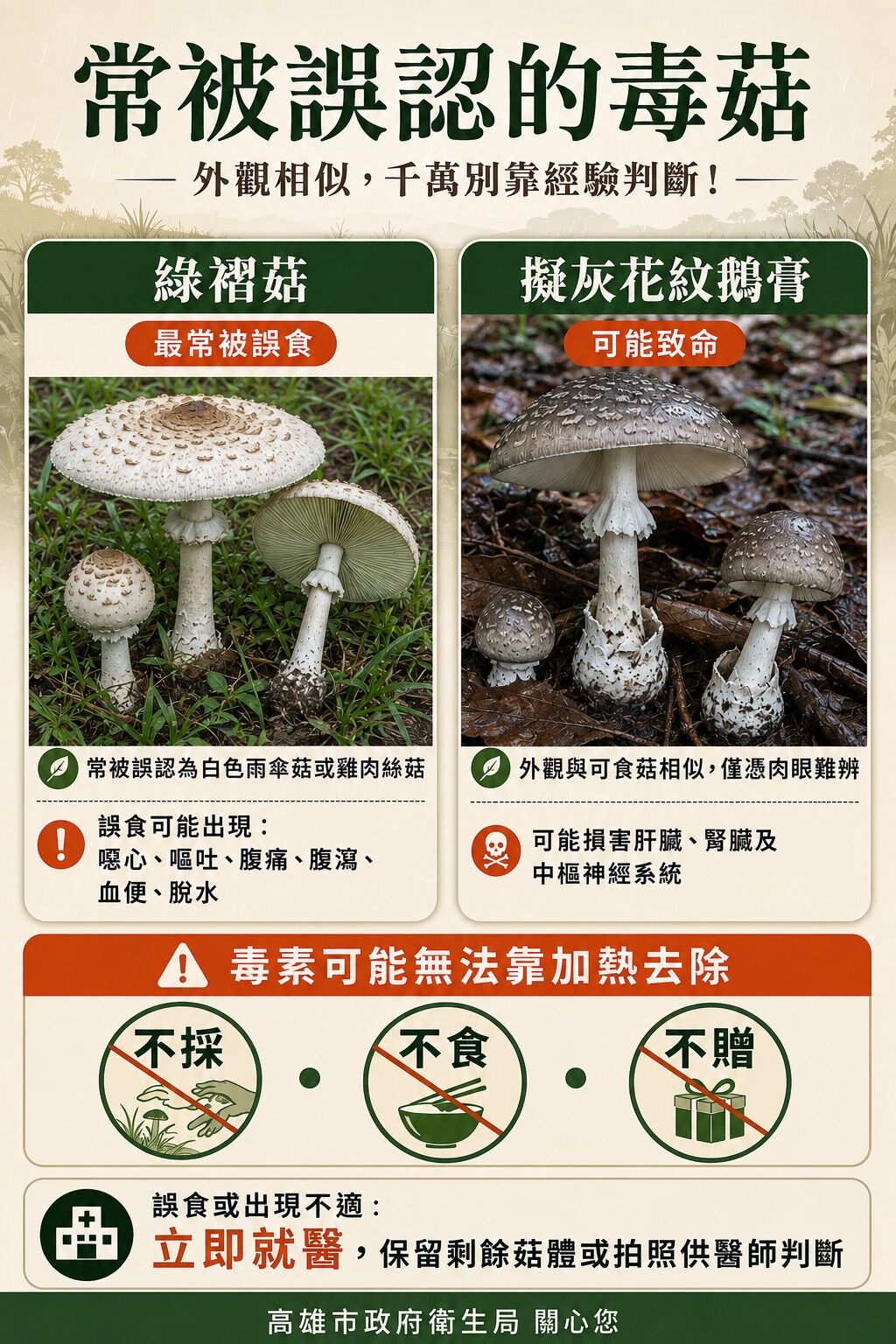 ▲綠摺菇具有毒性。（圖／記者許宥孺翻攝）
