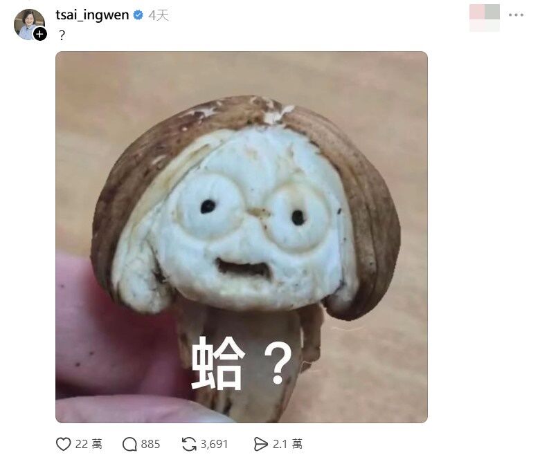 蔡英文用「小英菇哏圖」22萬人按讚！宣布辦雕刻大賽 全笑翻