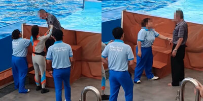 阿伯大鬧海洋公園「一直想跳海豚水池」 工作人員急吼:你會死掉