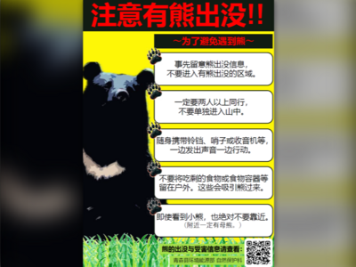 日本青森散步突遇熊襲! 外國男遊客遭咬傷「急逃民宿」