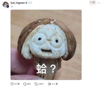蔡英文用「小英菇哏圖」22萬人按讚!宣布辦雕刻大賽 全笑翻