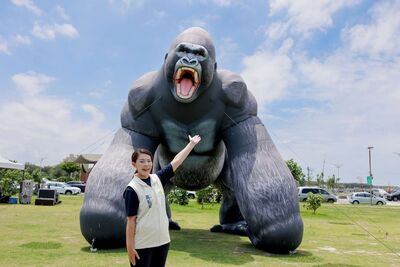新竹風箏節8/29快閃2天 6米「金剛大猩猩」空降漁港