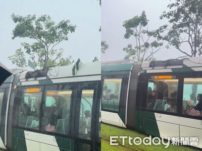 快訊／豪雨路樹倒塌！高雄輕軌遭砸中　車頂開花畫面曝