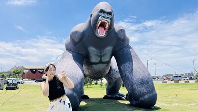 新竹風箏節8/29快閃2天 6米「金剛大猩猩」空降漁港