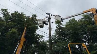 倒塌路樹壓電線!彰化田中近2000戶突停電 台電冒雨搶修